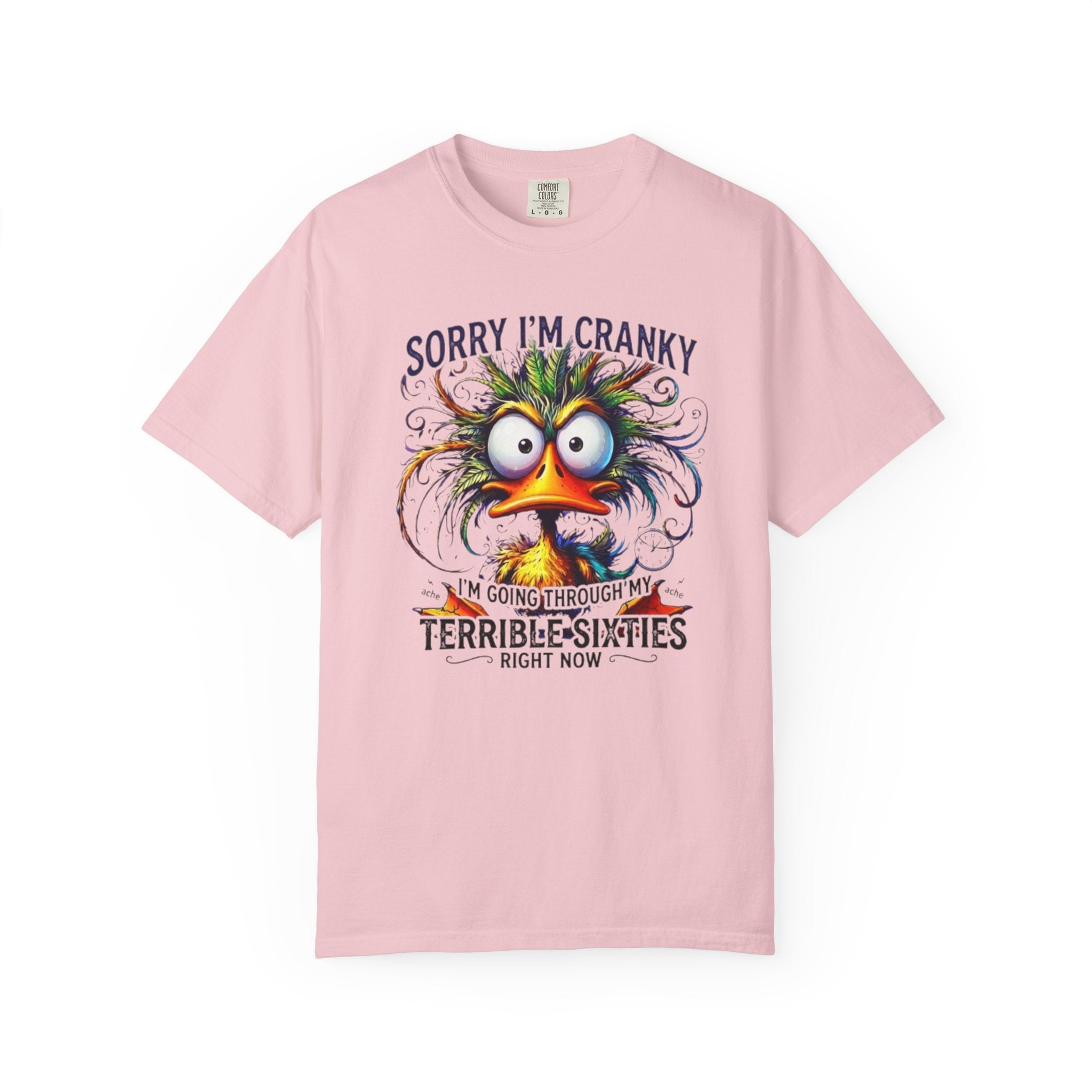 Funny Sorry Im Cranky Going Through My Terrible Sixties T Shirt