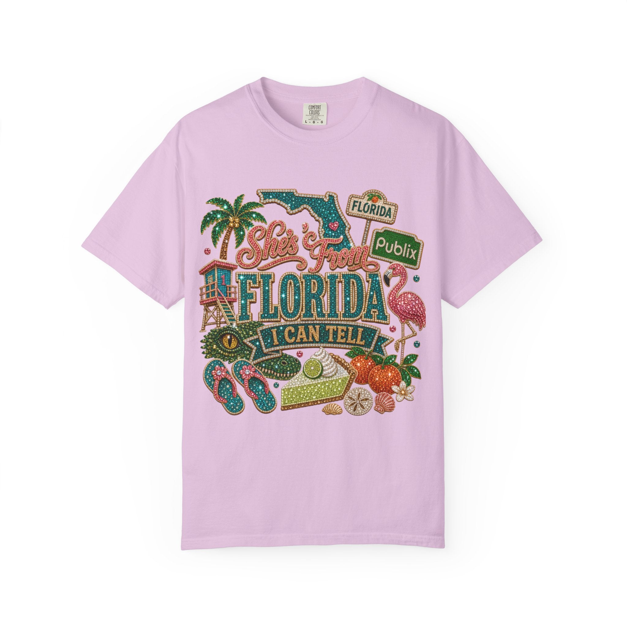 Florida Icons T Shirt  I Can Tell Vintage Sunshine Tee