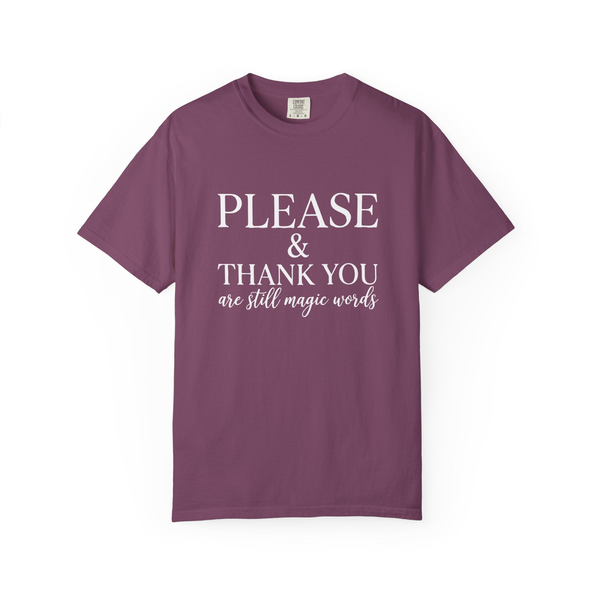 Please and Thank You T‑Shirt Please and Thank You are still magic words Graphic Tee