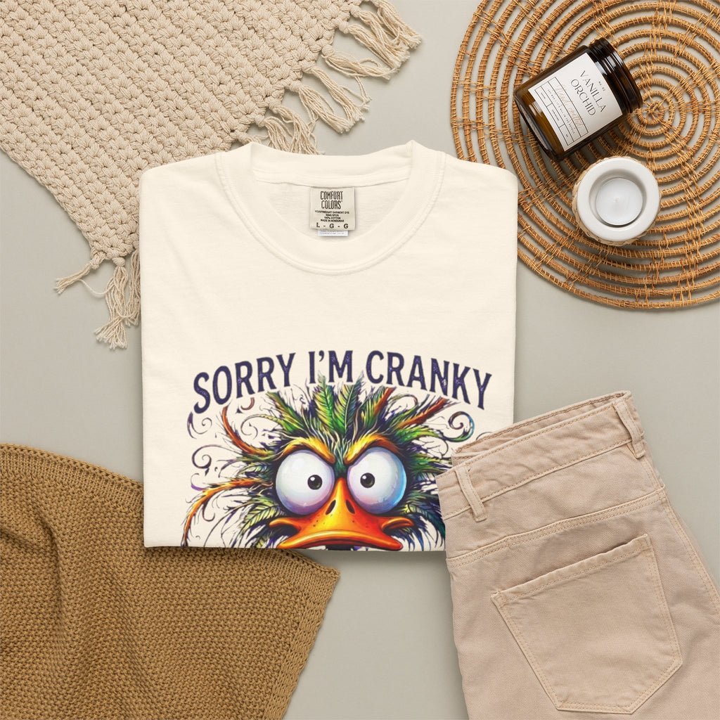 Cranky Terrible Seventies Graphic T Shirt Funny 70s Midlife Birthday Tee