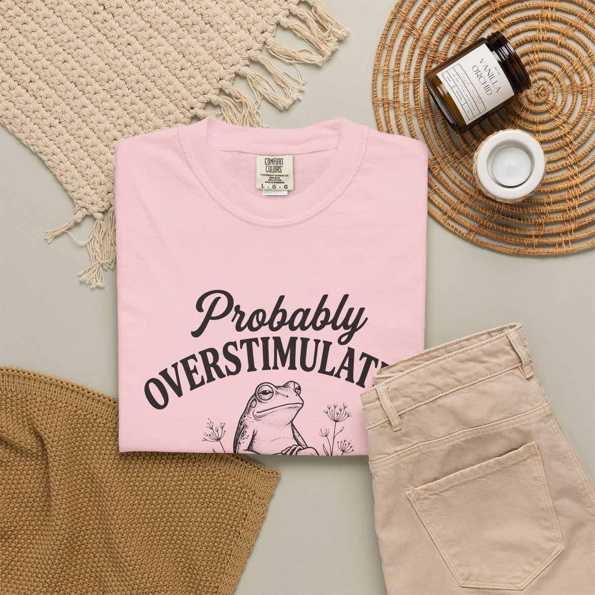 Probably Overstimulated Frog Tee Shirt So Please Dont Talk to Me Graphic Tee