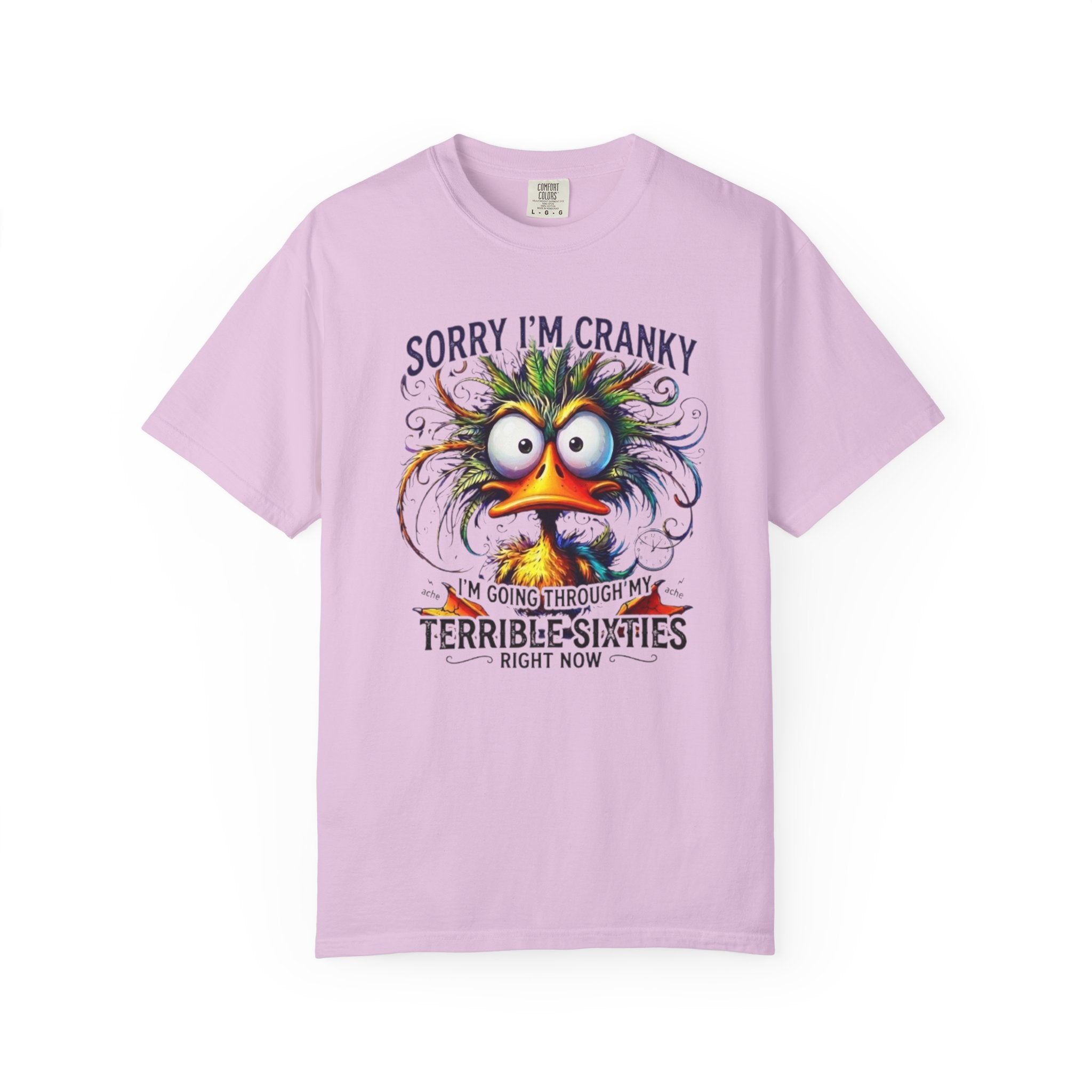 Funny Sorry Im Cranky Going Through My Terrible Sixties T Shirt
