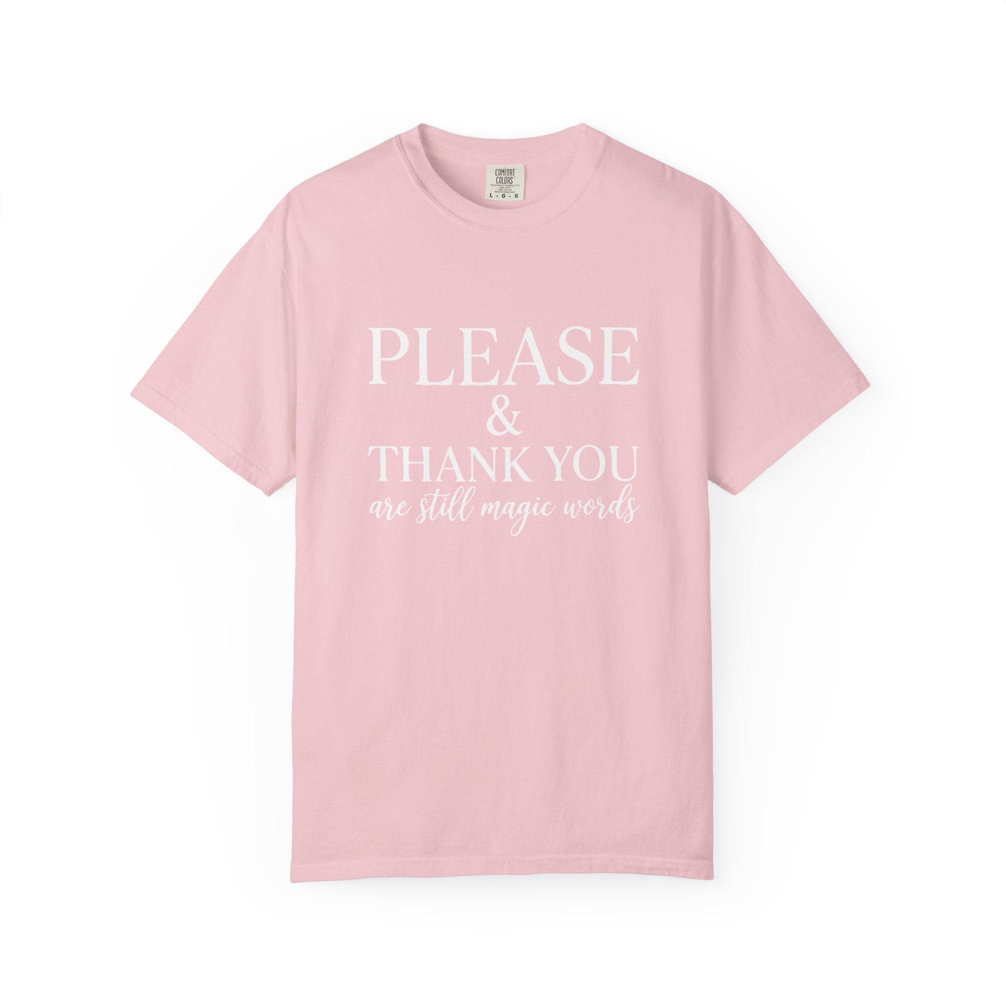 Please and Thank You T‑Shirt Please and Thank You are still magic words Graphic Tee