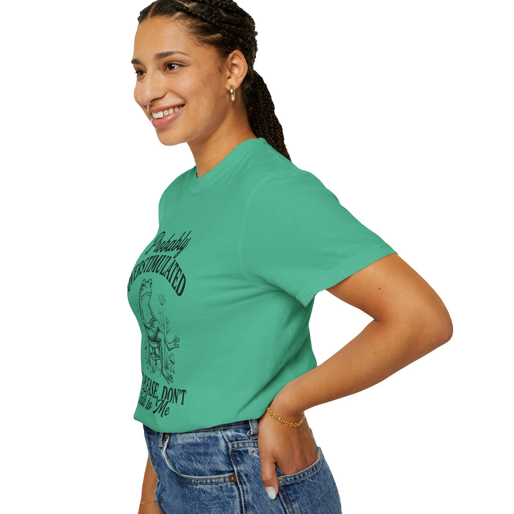 Probably Overstimulated Frog Tee Shirt So Please Dont Talk to Me Graphic Tee