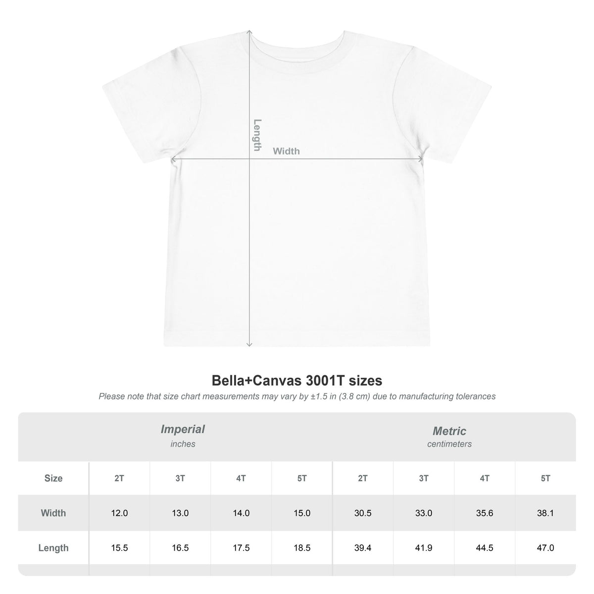 Matching Family Christmas Shirts 2026, Adult Youth Toddler Christmas Tees, The Best Gift Is Us, Vintage Holiday Family Photo Outfits