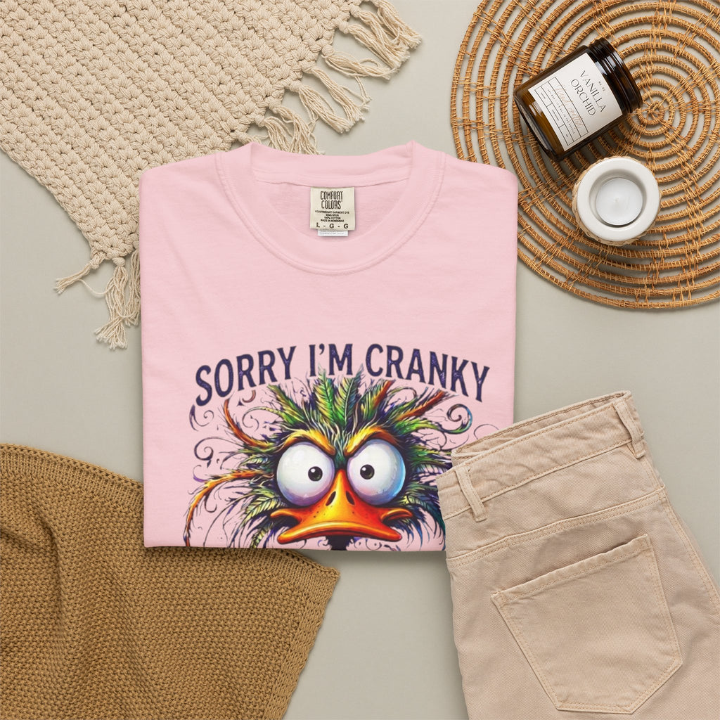 Sorry Im Cranky Terrible Eighties T Shirt