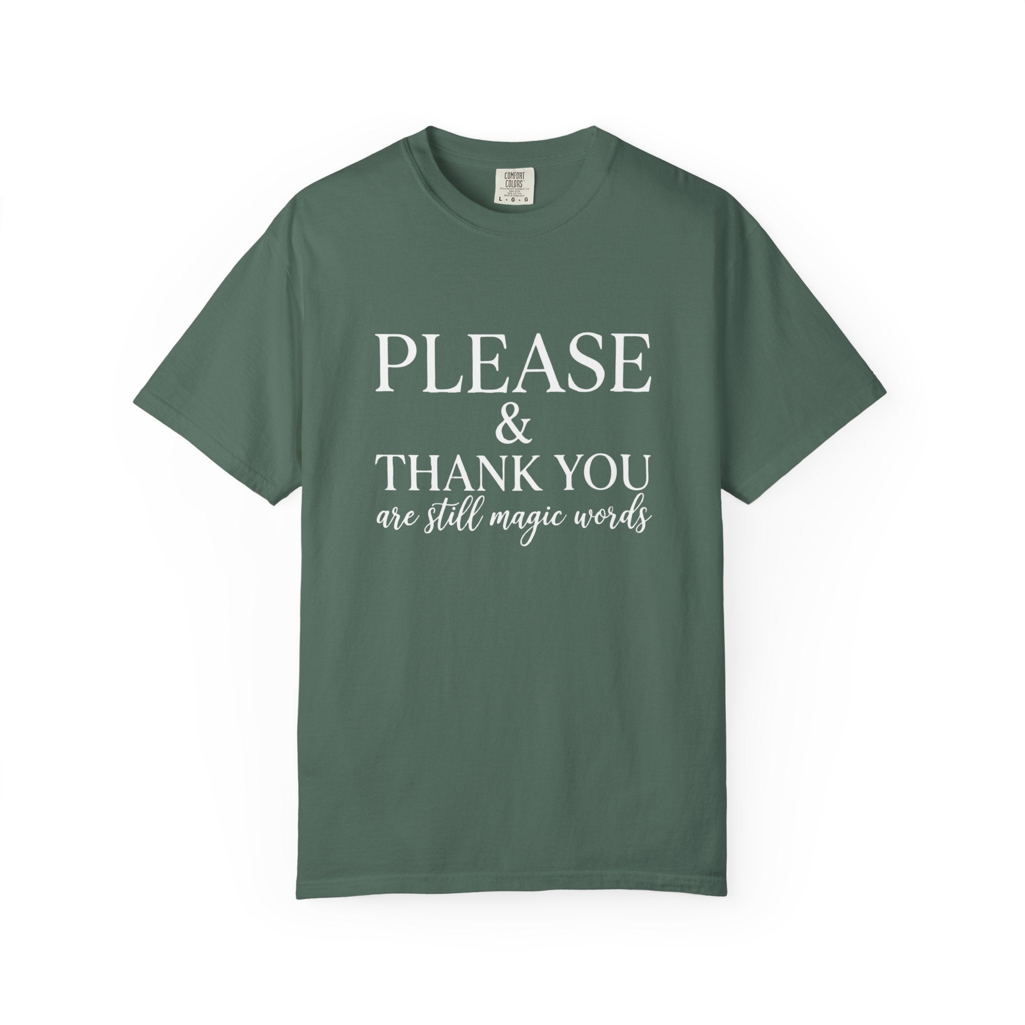 Please and Thank You T‑Shirt Please and Thank You are still magic words Graphic Tee