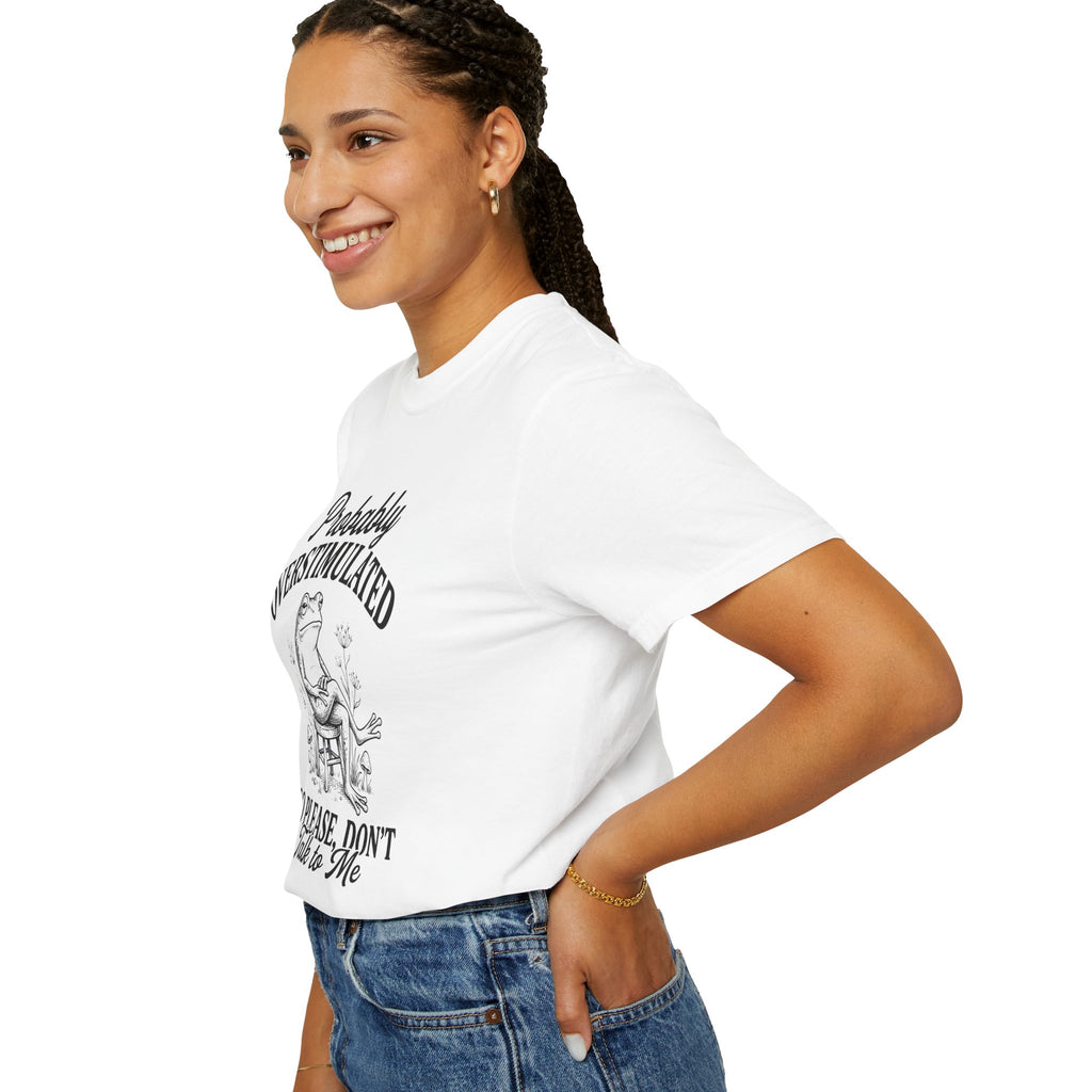 Probably Overstimulated Frog Tee Shirt So Please Dont Talk to Me Graphic Tee