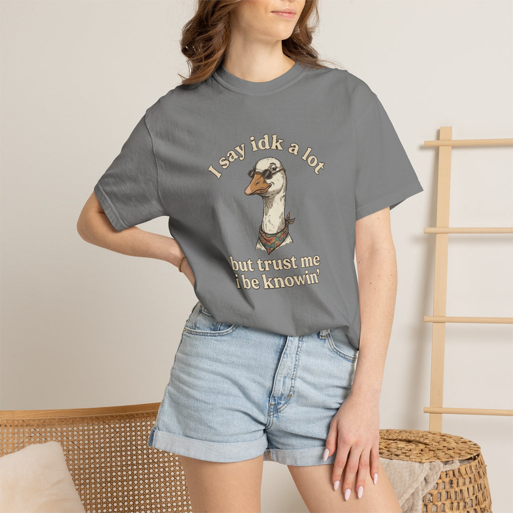 Funny Goose T Shirt Say Idk a Lot But Trust Me I Be knowin Graphic Tee