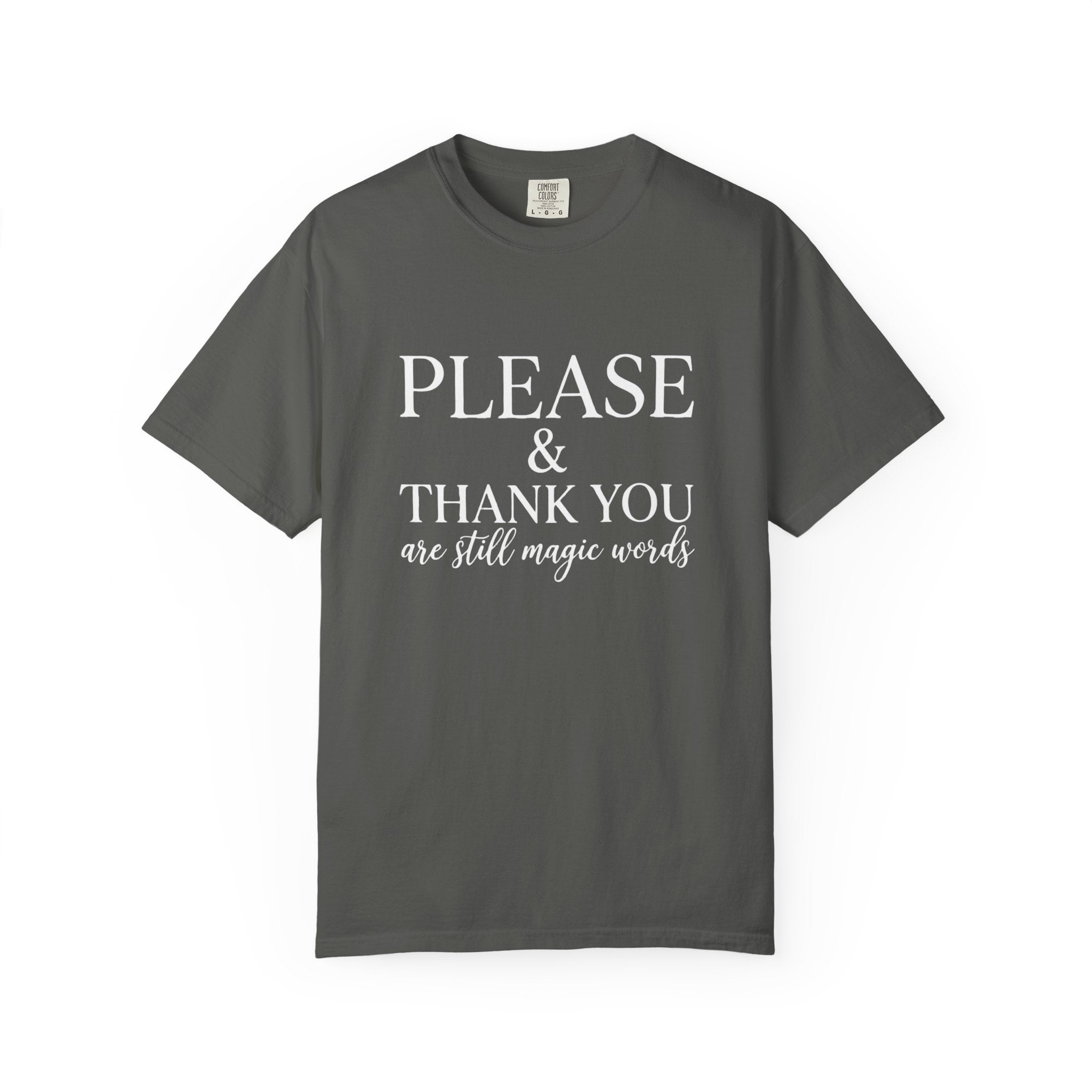 Please and Thank You T‑Shirt Please and Thank You are still magic words Graphic Tee