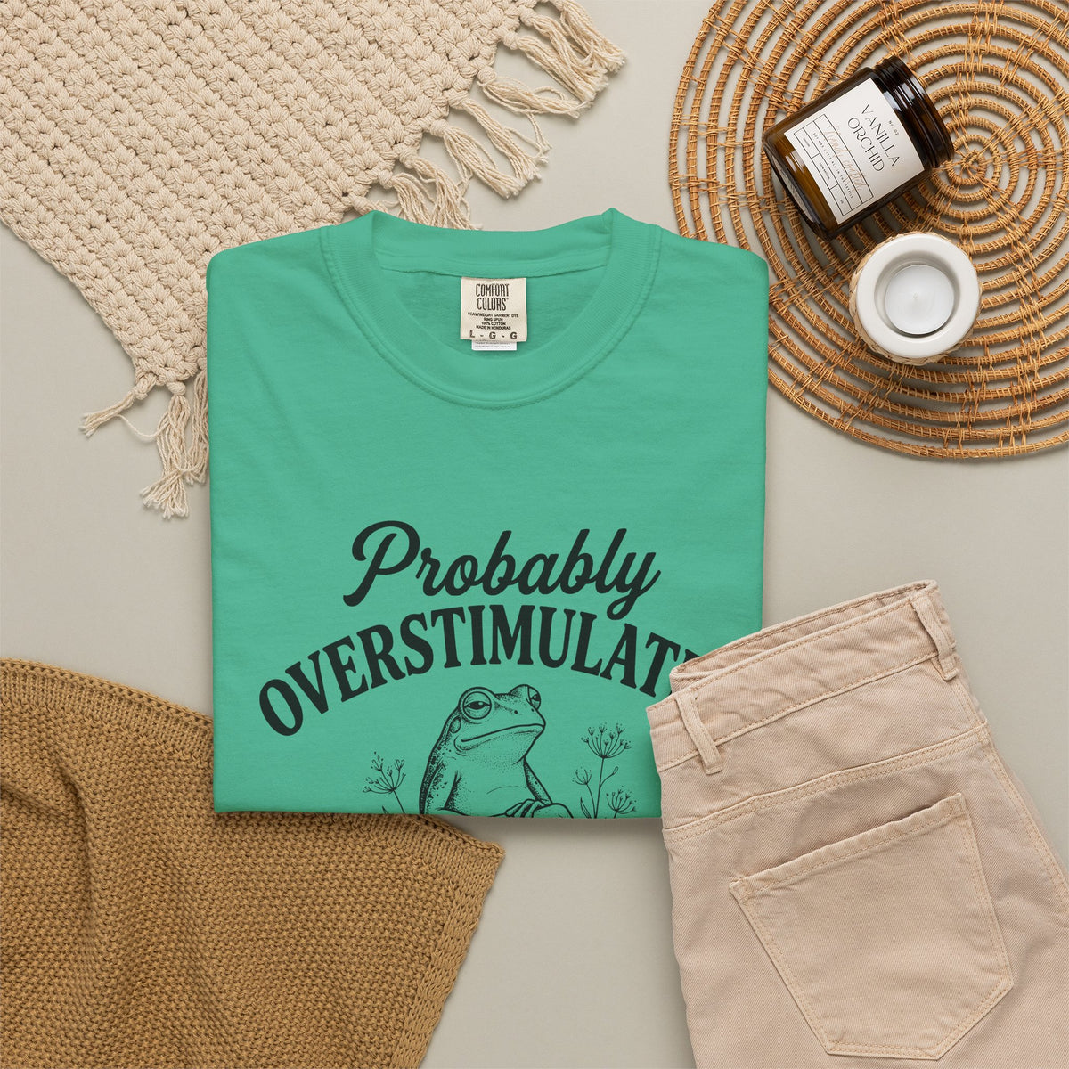 Probably Overstimulated Frog Tee Shirt So Please Dont Talk to Me Graphic Tee