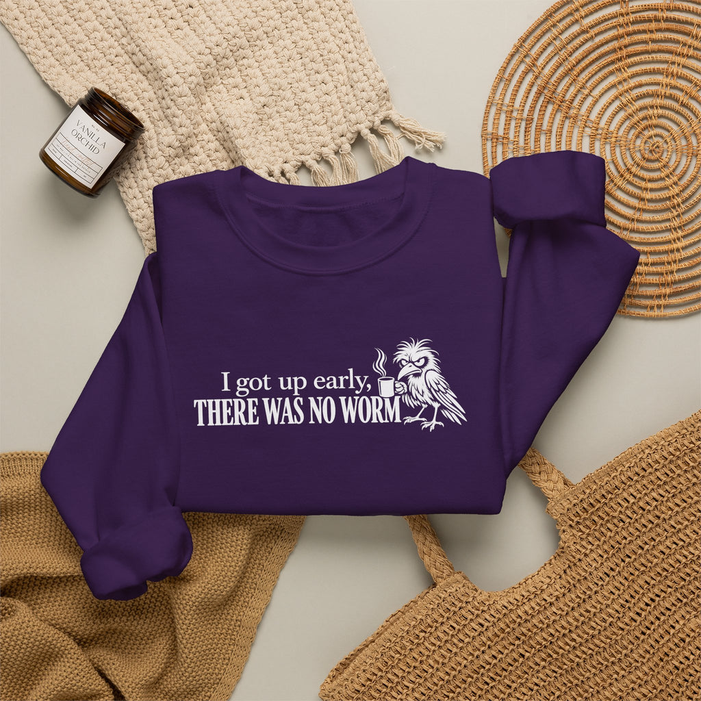 I Got Up Early There Was No Worm Sweatshirt, Funny Bird Coffee Crewneck, Sarcastic Morning Shirt, Grumpy Bird Gift