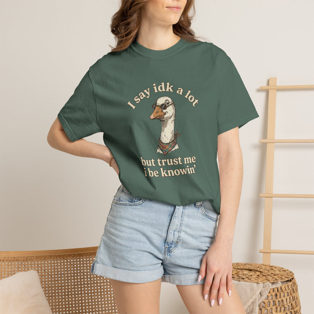 Funny Goose T Shirt Say Idk a Lot But Trust Me I Be knowin Graphic Tee