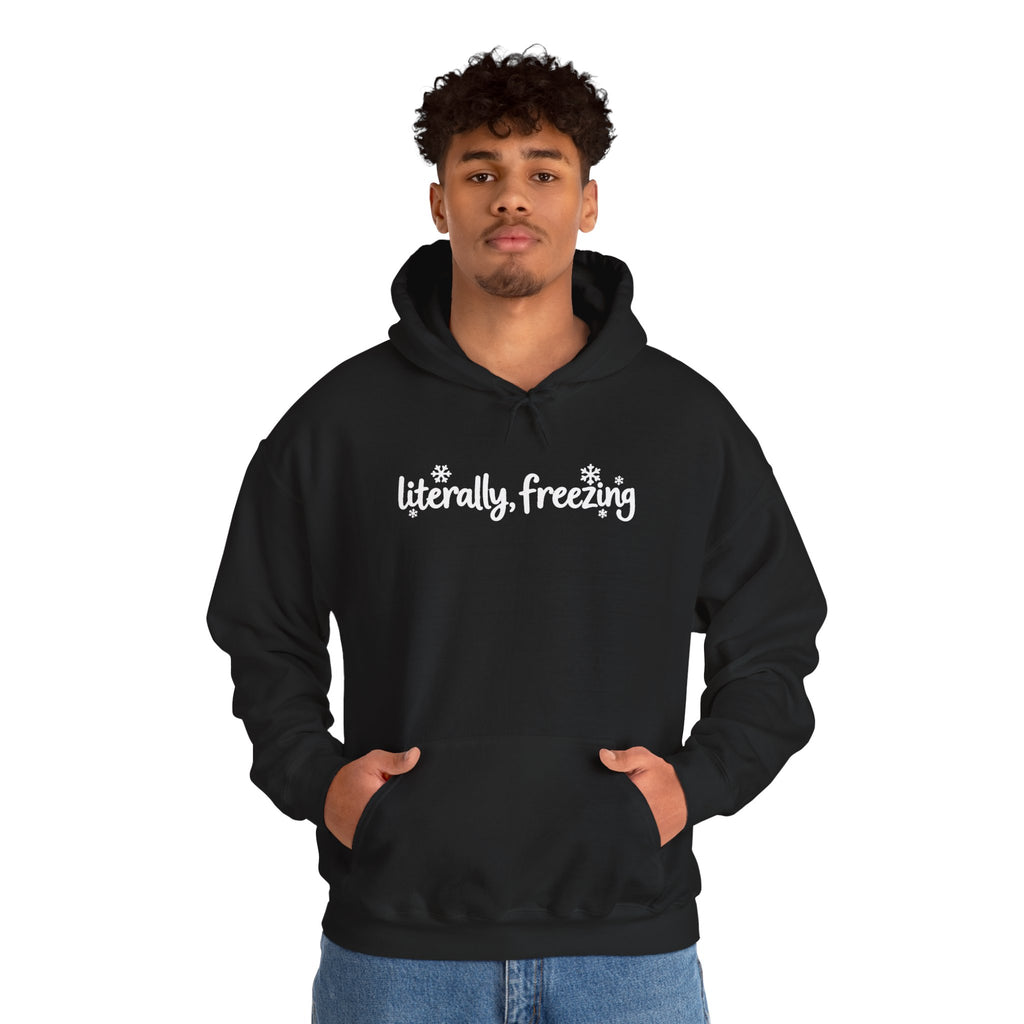 Literally Freezing Hoodie, Funny Winter Sweatshirt, Cute Snowflake Shirt, Cozy Winter Outfit, Minimalist Winter Hoodie, Cold Weather Gift