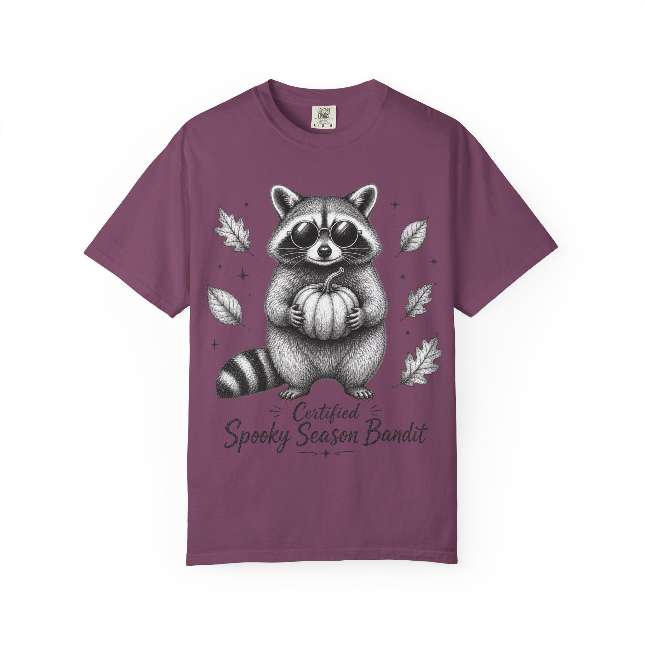 Spooky Season Bandit T Shirt Cute Raccoon Holding Pumpkin Fall Tee