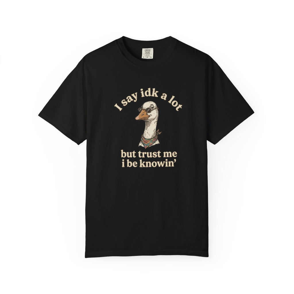Funny Goose T Shirt Say Idk a Lot But Trust Me I Be knowin Graphic Tee