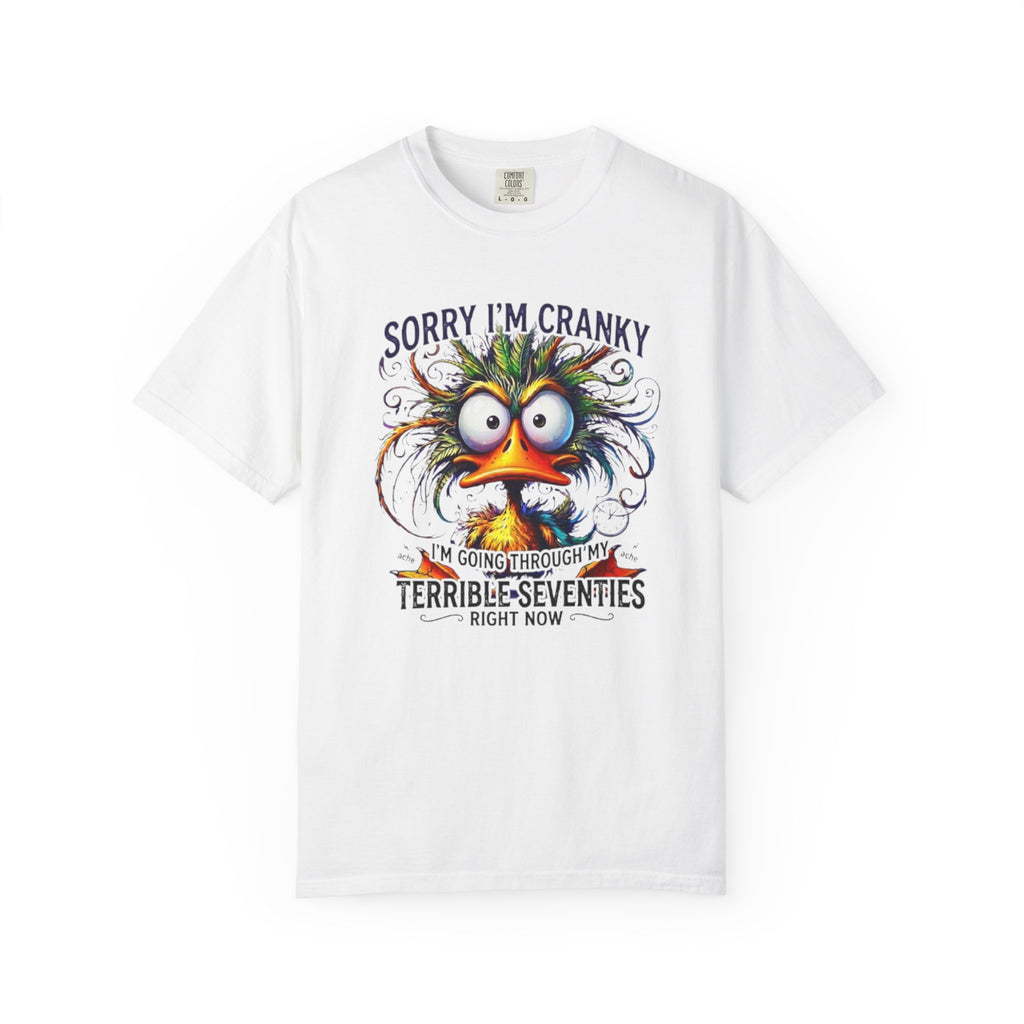Cranky Terrible Seventies Graphic T Shirt Funny 70s Midlife Birthday Tee