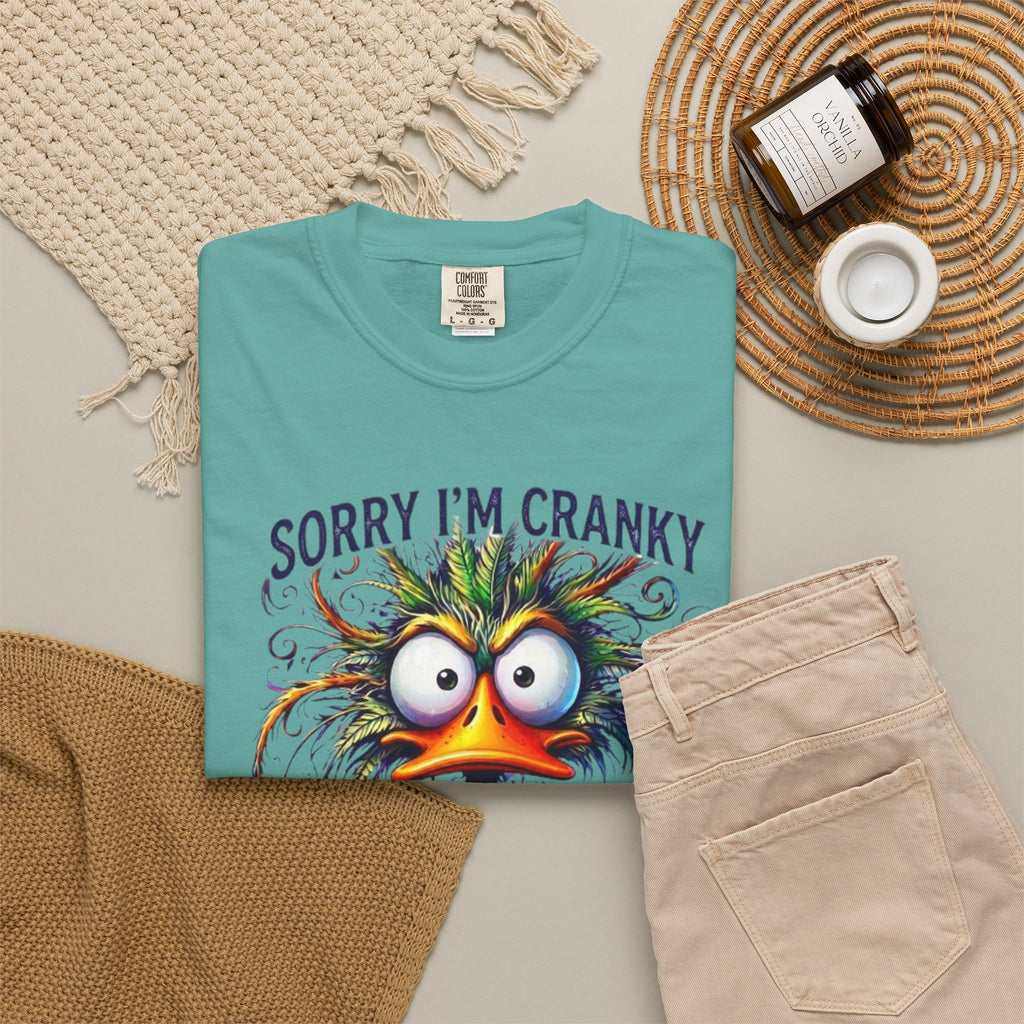 Funny Sorry Im Cranky Going Through My Terrible Sixties T Shirt
