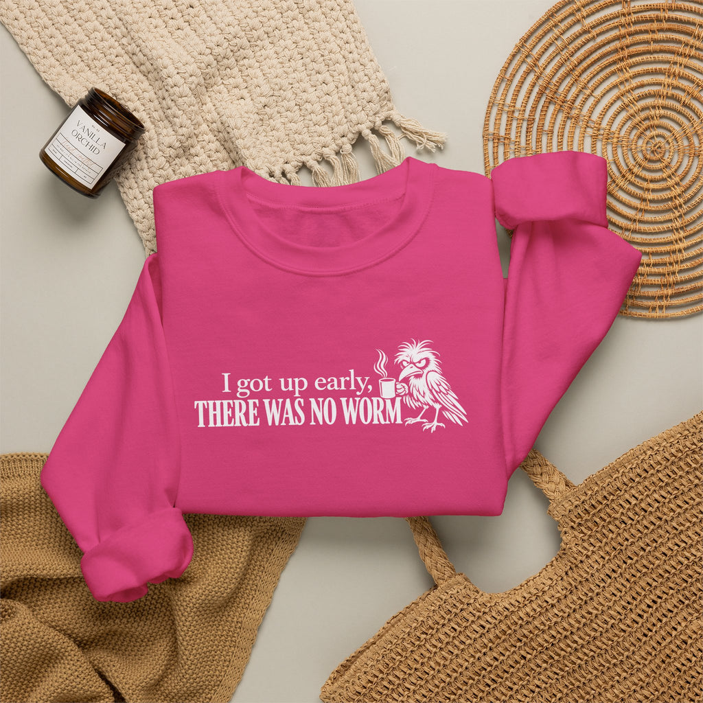 I Got Up Early There Was No Worm Sweatshirt, Funny Bird Coffee Crewneck, Sarcastic Morning Shirt, Grumpy Bird Gift