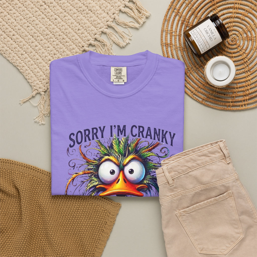 Cranky Terrible Seventies Graphic T Shirt Funny 70s Midlife Birthday Tee