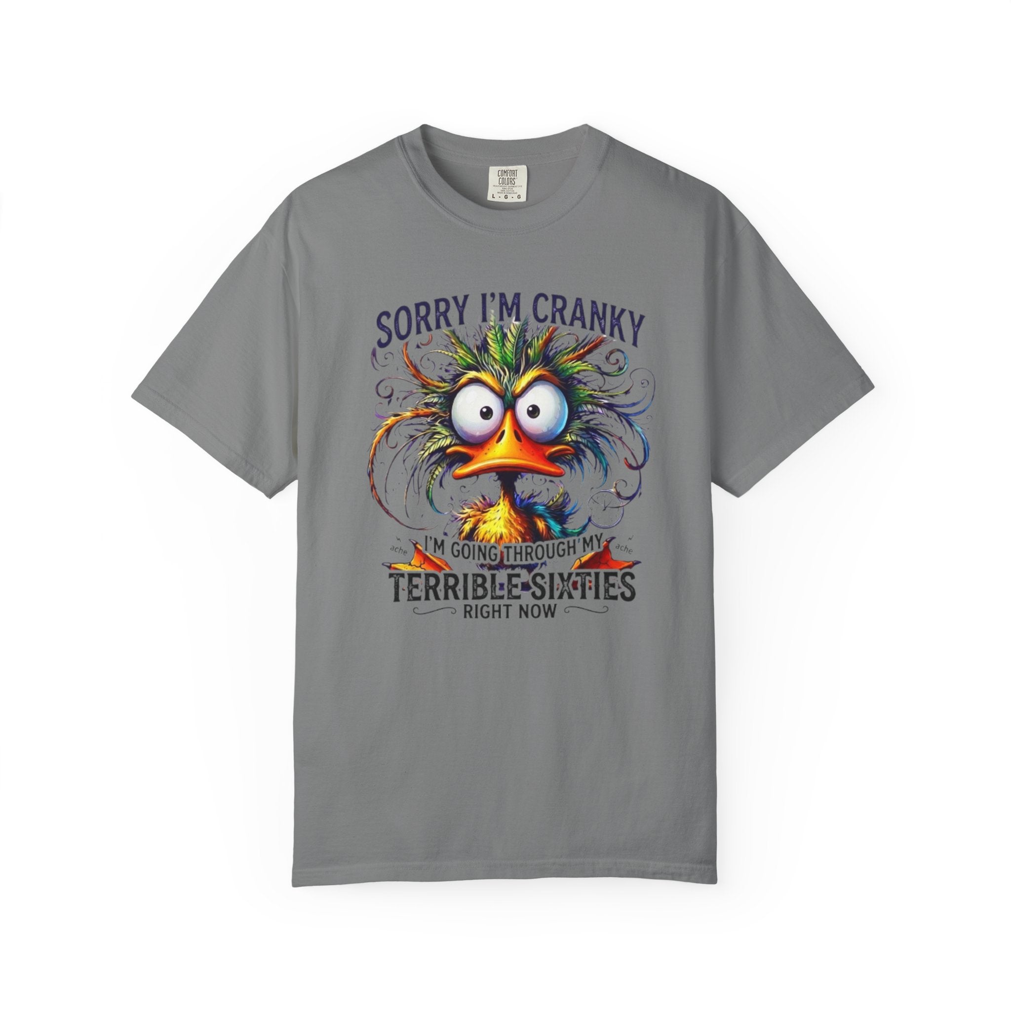 Funny Sorry Im Cranky Going Through My Terrible Sixties T Shirt