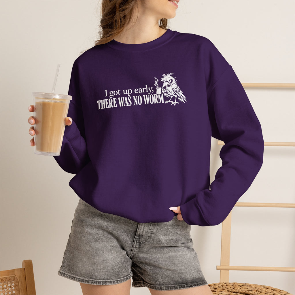 I Got Up Early There Was No Worm Sweatshirt, Funny Bird Coffee Crewneck, Sarcastic Morning Shirt, Grumpy Bird Gift