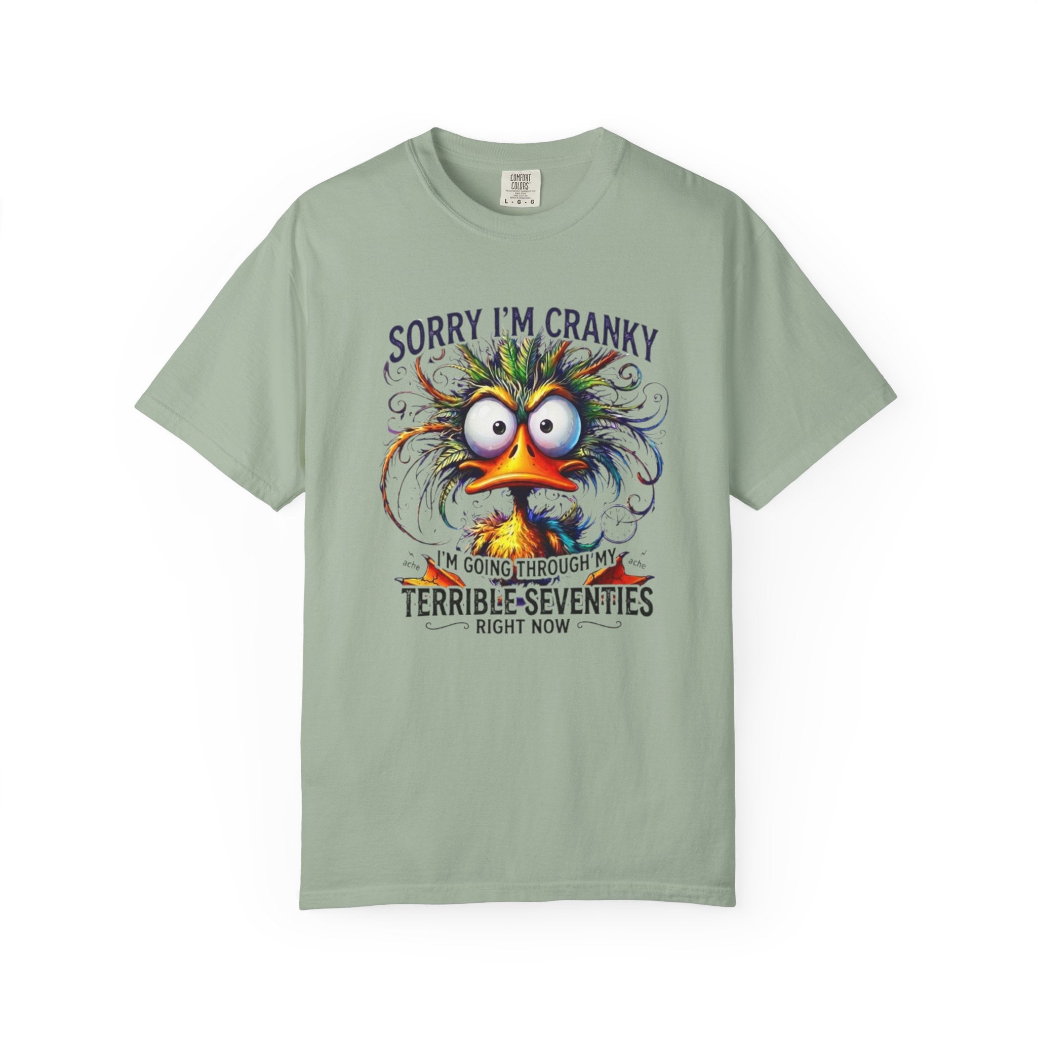Cranky Terrible Seventies Graphic T Shirt Funny 70s Midlife Birthday Tee