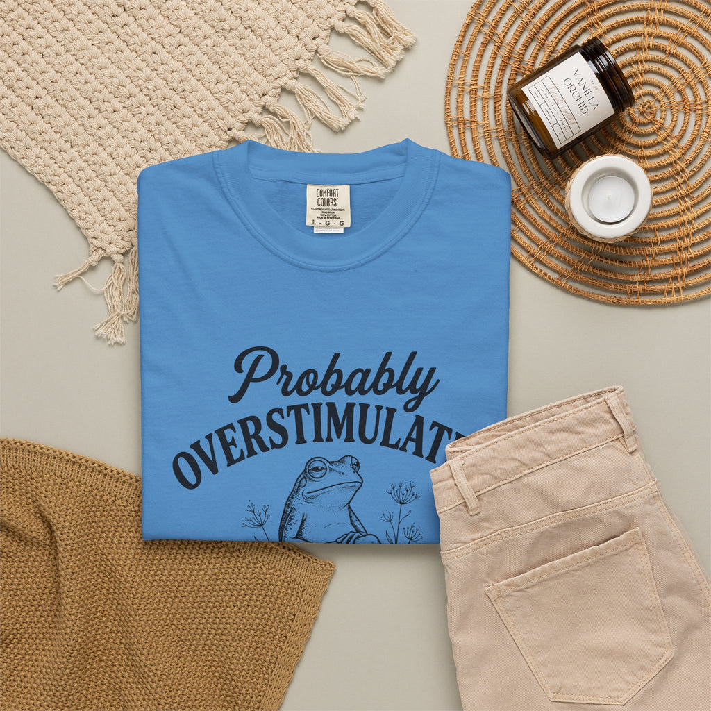Probably Overstimulated Frog Tee Shirt So Please Dont Talk to Me Graphic Tee