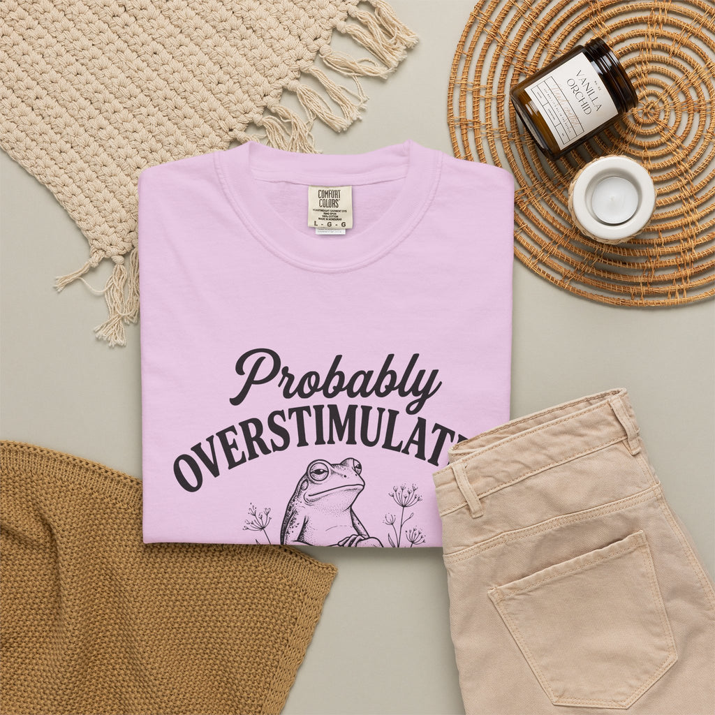 Probably Overstimulated Frog Tee Shirt So Please Dont Talk to Me Graphic Tee