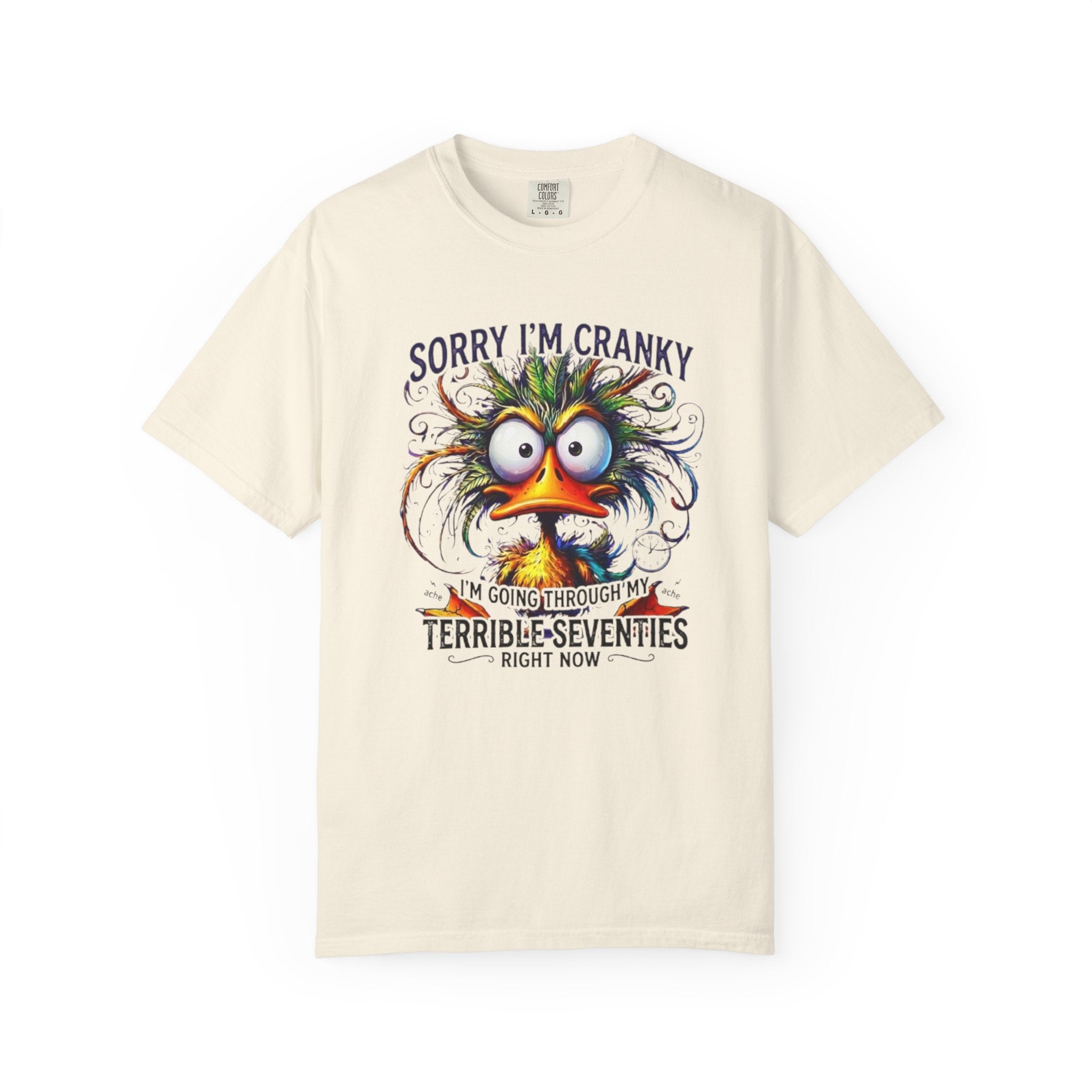 Cranky Terrible Seventies Graphic T Shirt Funny 70s Midlife Birthday Tee