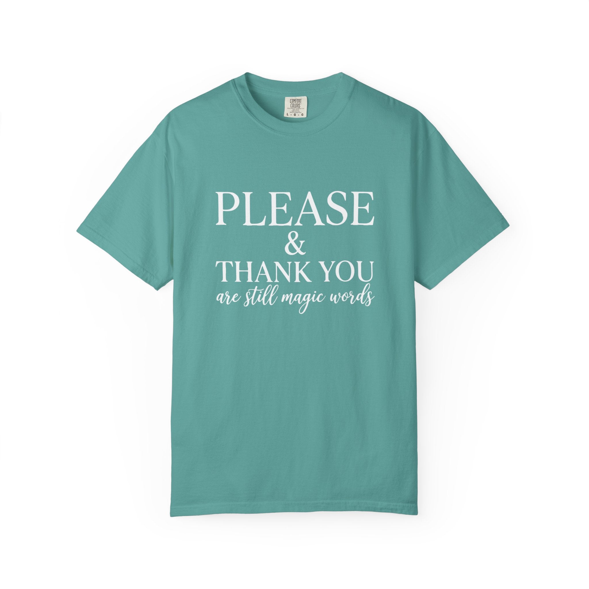 Please and Thank You T‑Shirt Please and Thank You are still magic words Graphic Tee