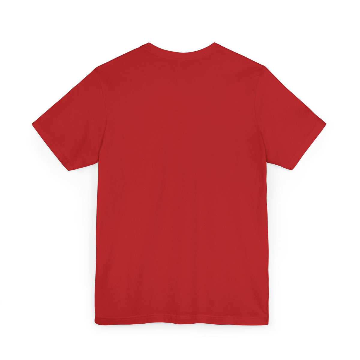 Funny Santa Tee Shirt You Aint Gettin Sh t Holiday Tee