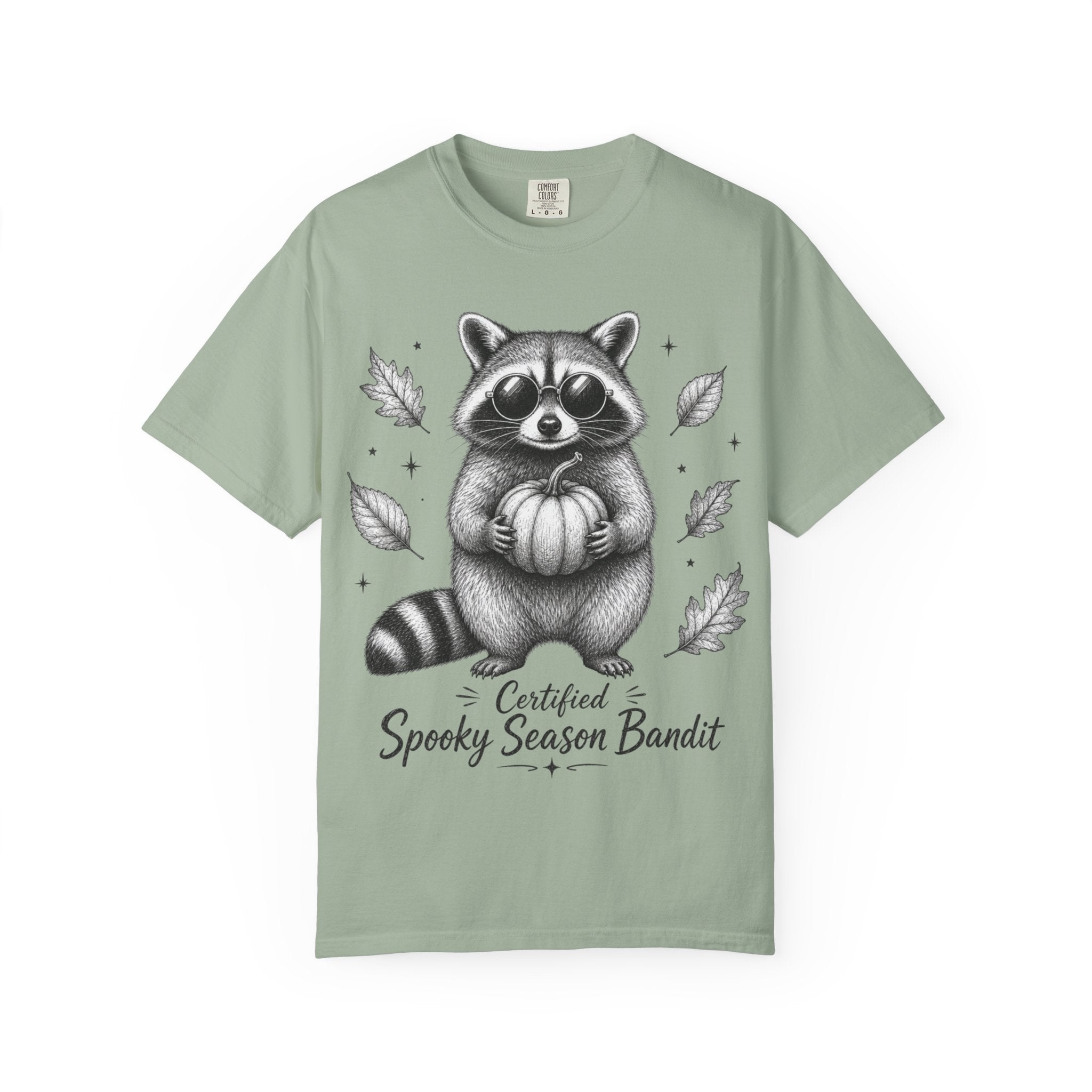 Spooky Season Bandit T Shirt Cute Raccoon Holding Pumpkin Fall Tee