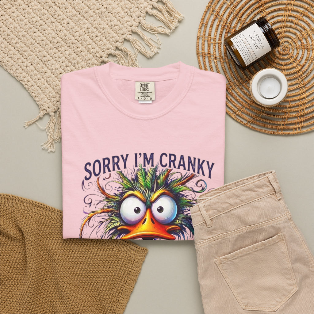 Cranky Terrible Seventies Graphic T Shirt Funny 70s Midlife Birthday Tee