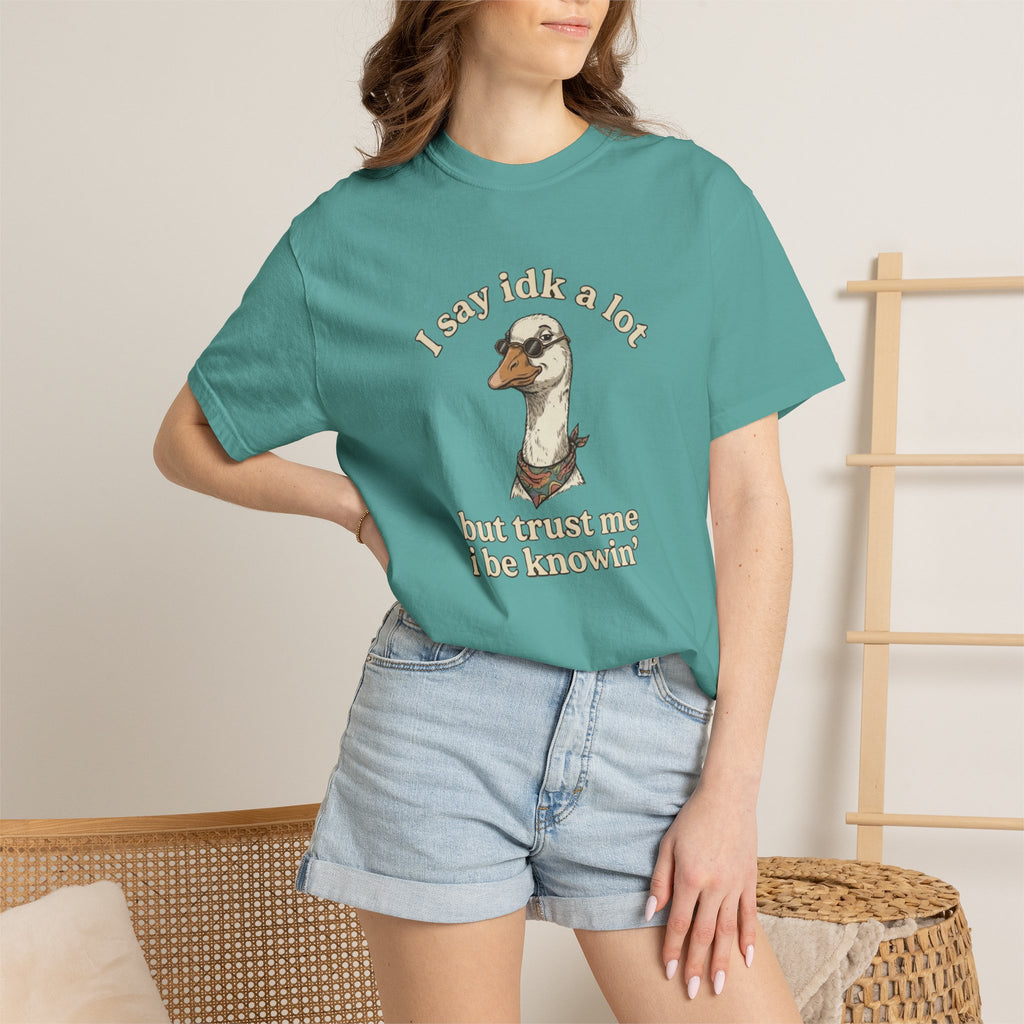 Funny Goose T Shirt Say Idk a Lot But Trust Me I Be knowin Graphic Tee