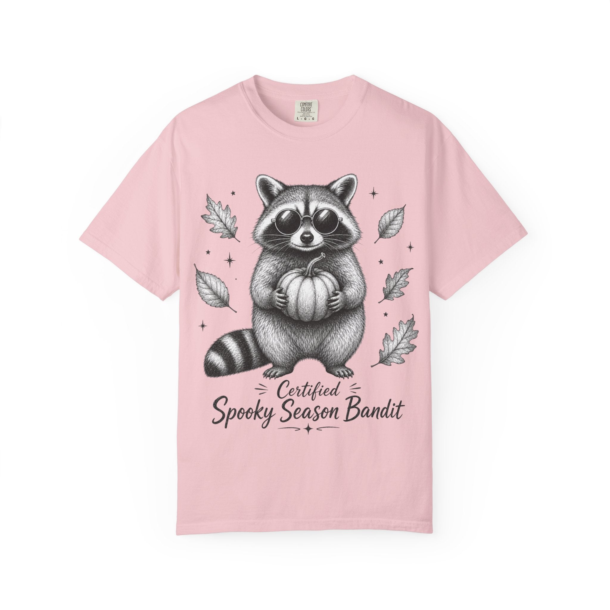 Spooky Season Bandit T Shirt Cute Raccoon Holding Pumpkin Fall Tee