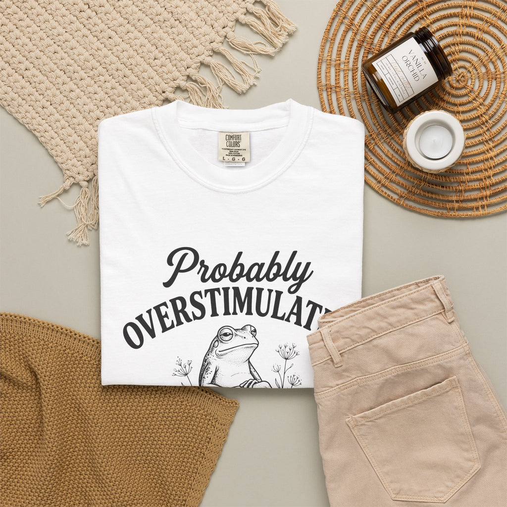 Probably Overstimulated Frog Tee Shirt So Please Dont Talk to Me Graphic Tee