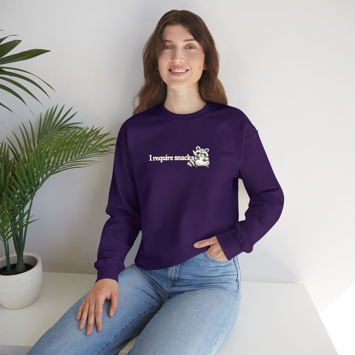 I Require Snacks Embroidered Sweatshirt, Funny Raccoon Sweatshirt, Minimalist Embroidery, Sarcastic Animal Lover Gift, Cozy Crewneck