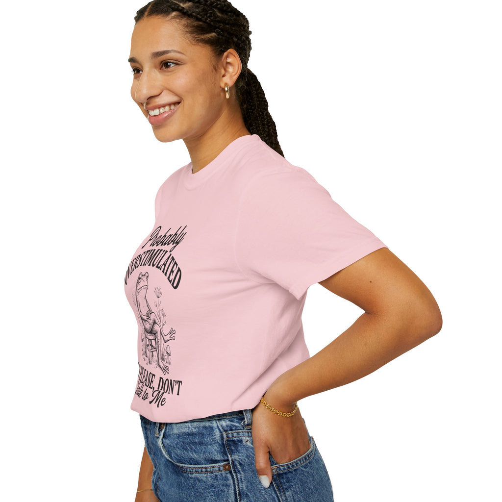 Probably Overstimulated Frog Tee Shirt So Please Dont Talk to Me Graphic Tee