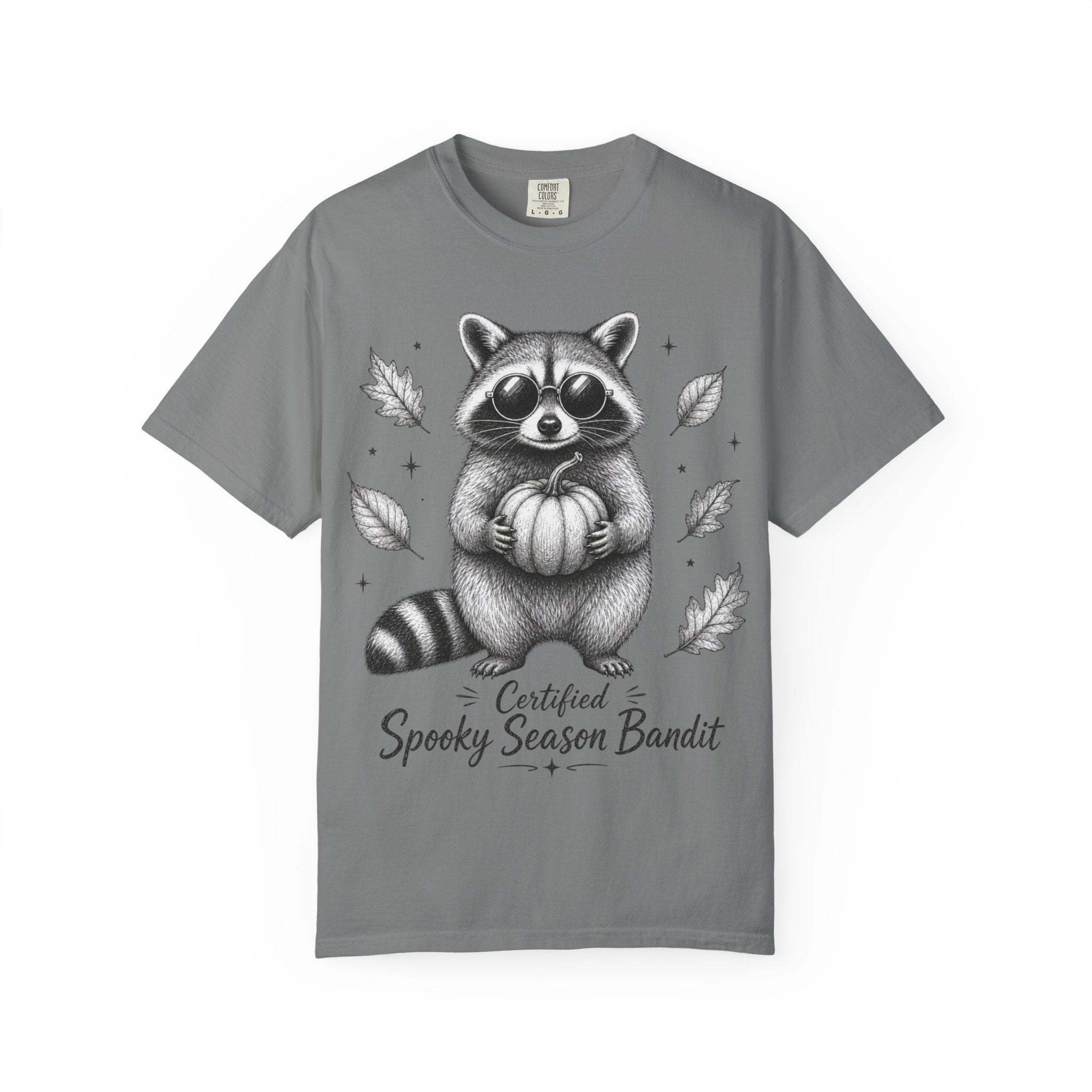 Spooky Season Bandit T Shirt Cute Raccoon Holding Pumpkin Fall Tee