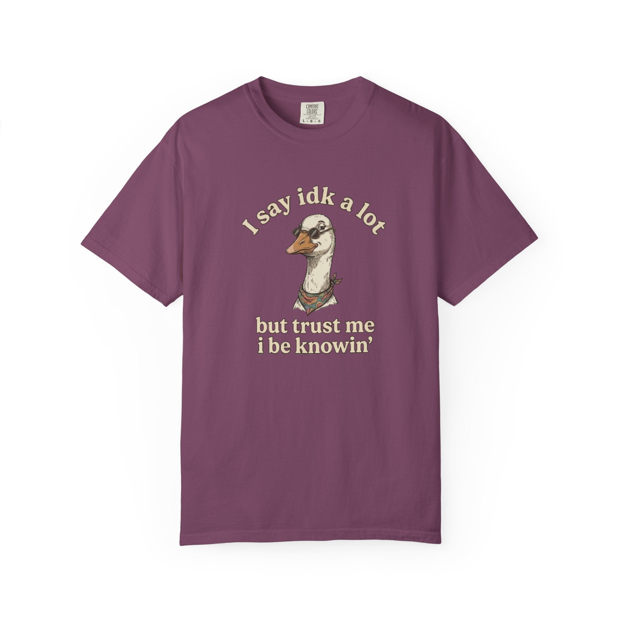 Funny Goose T Shirt Say Idk a Lot But Trust Me I Be knowin Graphic Tee