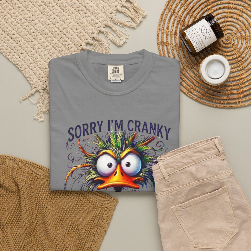Sorry Im Cranky Terrible Eighties T Shirt