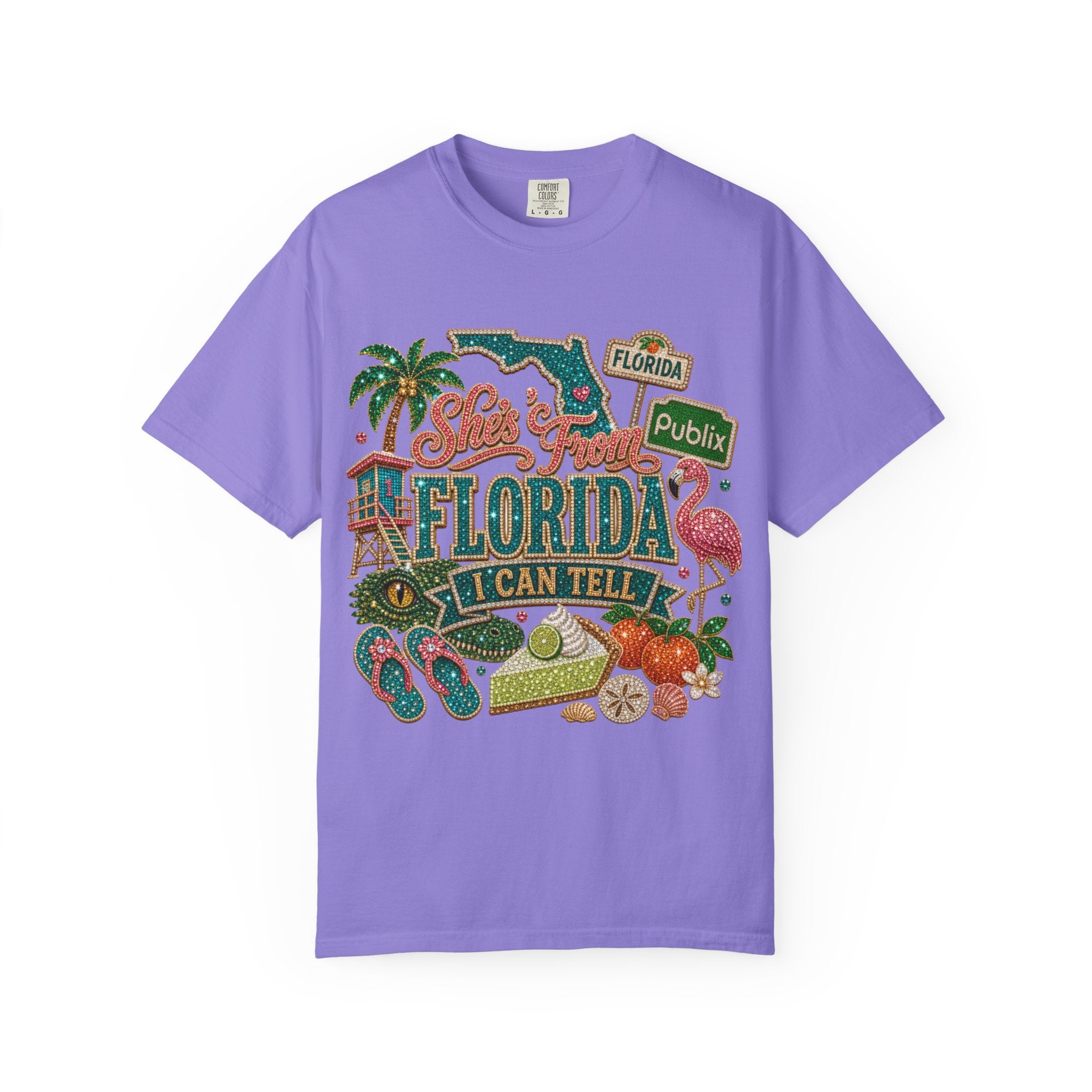 Florida Icons T Shirt  I Can Tell Vintage Sunshine Tee