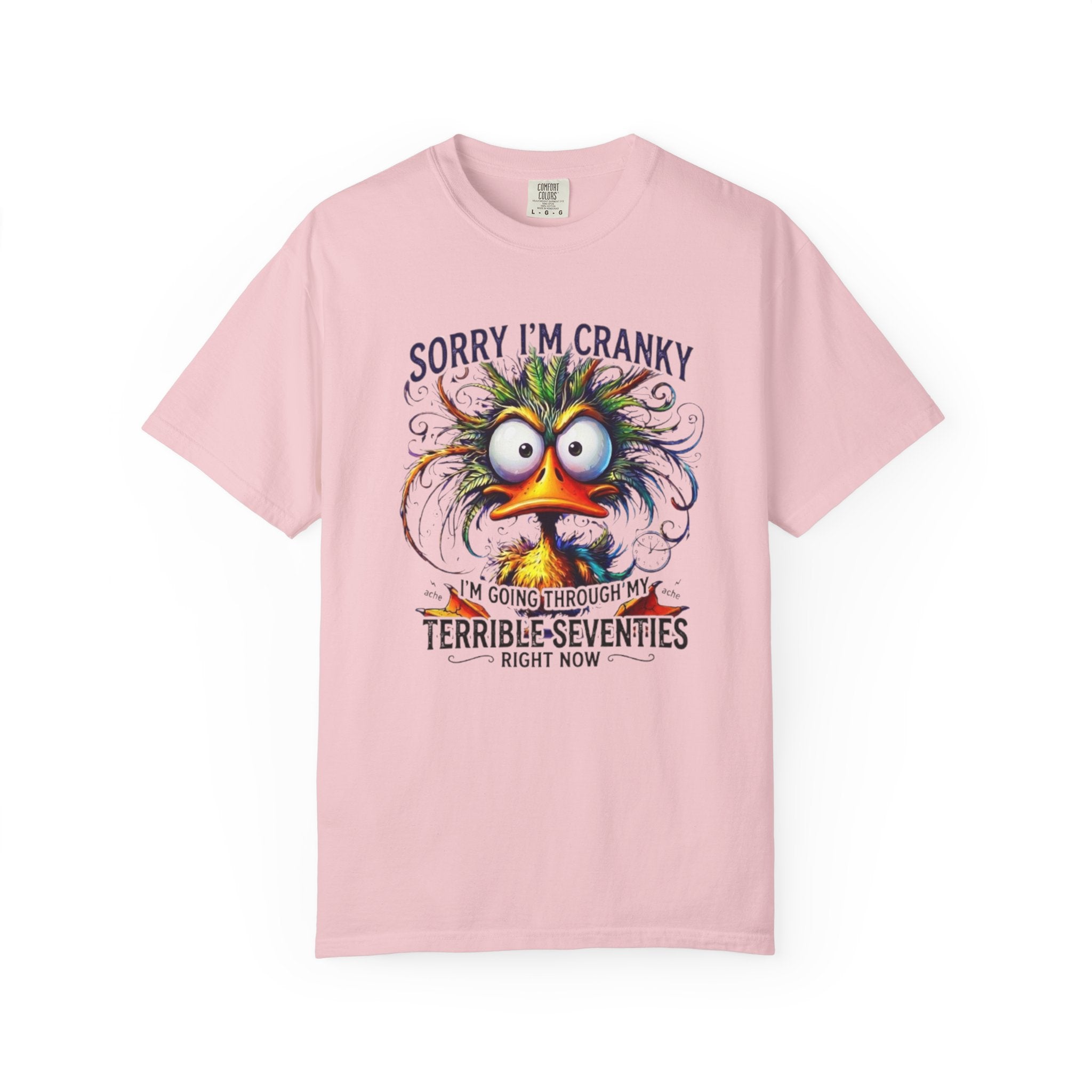 Cranky Terrible Seventies Graphic T Shirt Funny 70s Midlife Birthday Tee