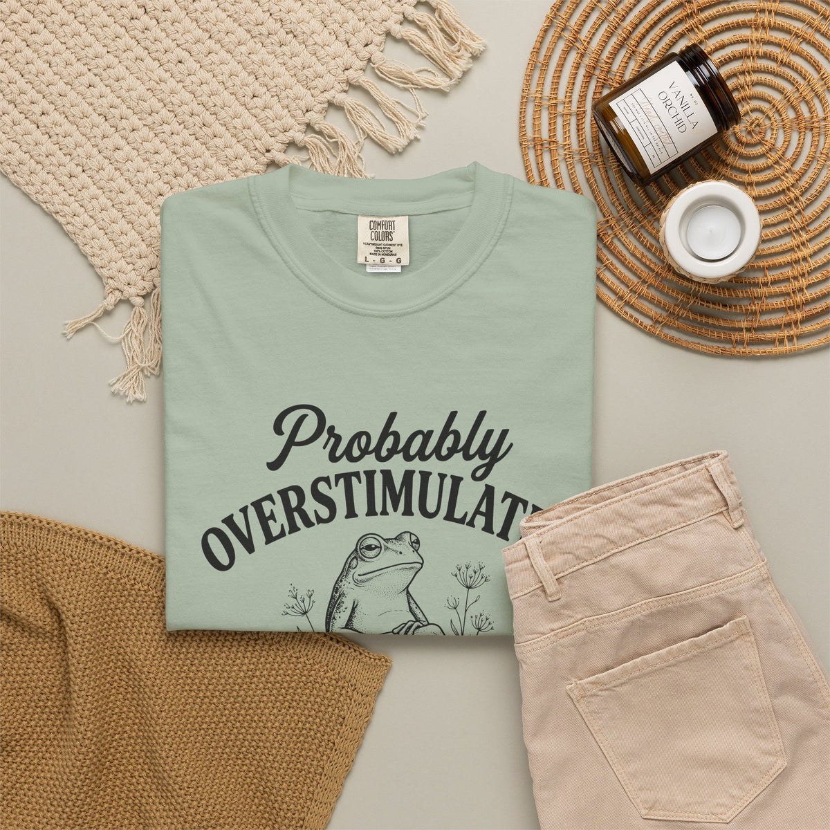 Probably Overstimulated Frog Tee Shirt So Please Dont Talk to Me Graphic Tee