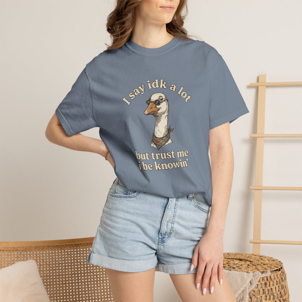 Funny Goose T Shirt Say Idk a Lot But Trust Me I Be knowin Graphic Tee