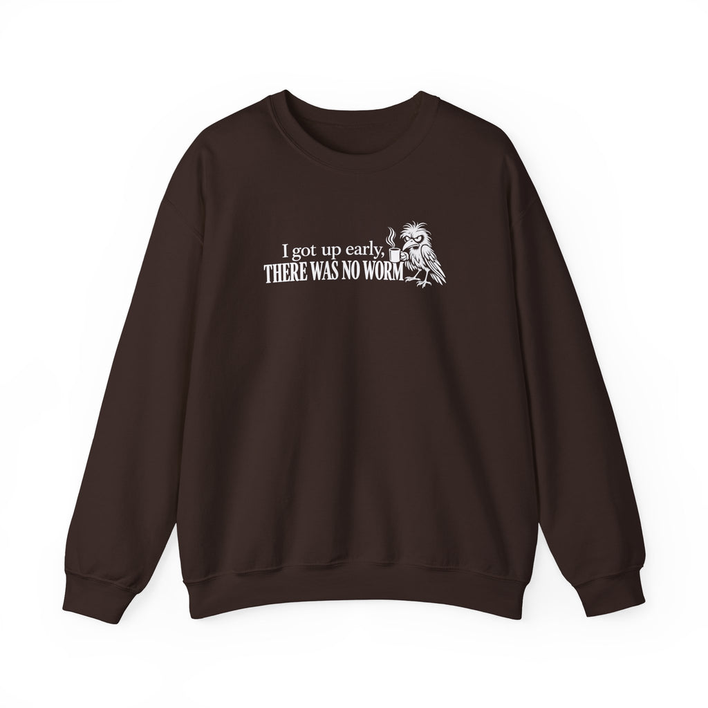 I Got Up Early There Was No Worm Sweatshirt, Funny Bird Coffee Crewneck, Sarcastic Morning Shirt, Grumpy Bird Gift