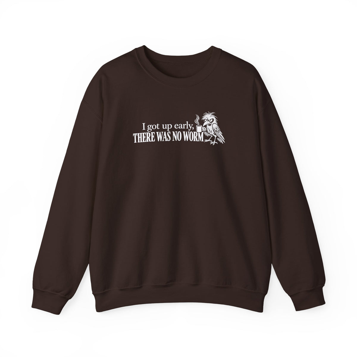 I Got Up Early There Was No Worm Sweatshirt, Funny Bird Coffee Crewneck, Sarcastic Morning Shirt, Grumpy Bird Gift