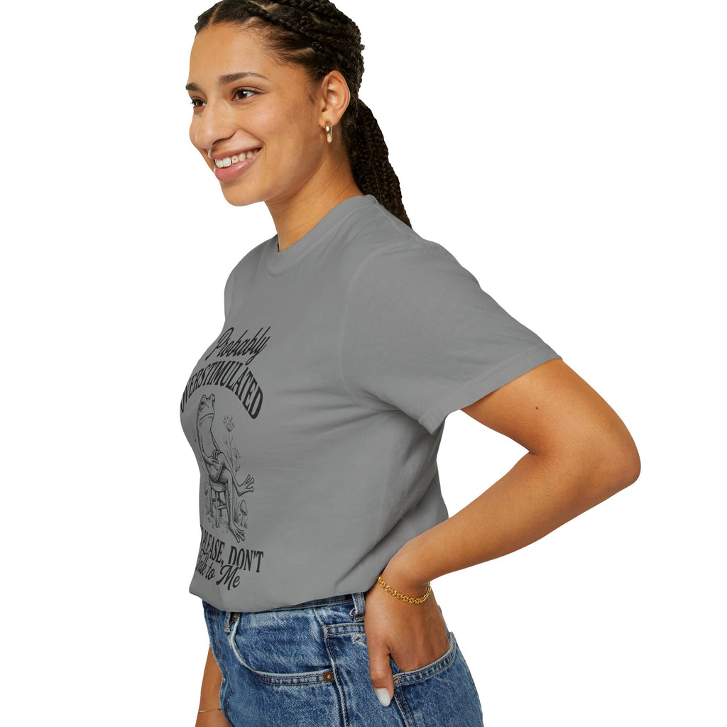 Probably Overstimulated Frog Tee Shirt So Please Dont Talk to Me Graphic Tee