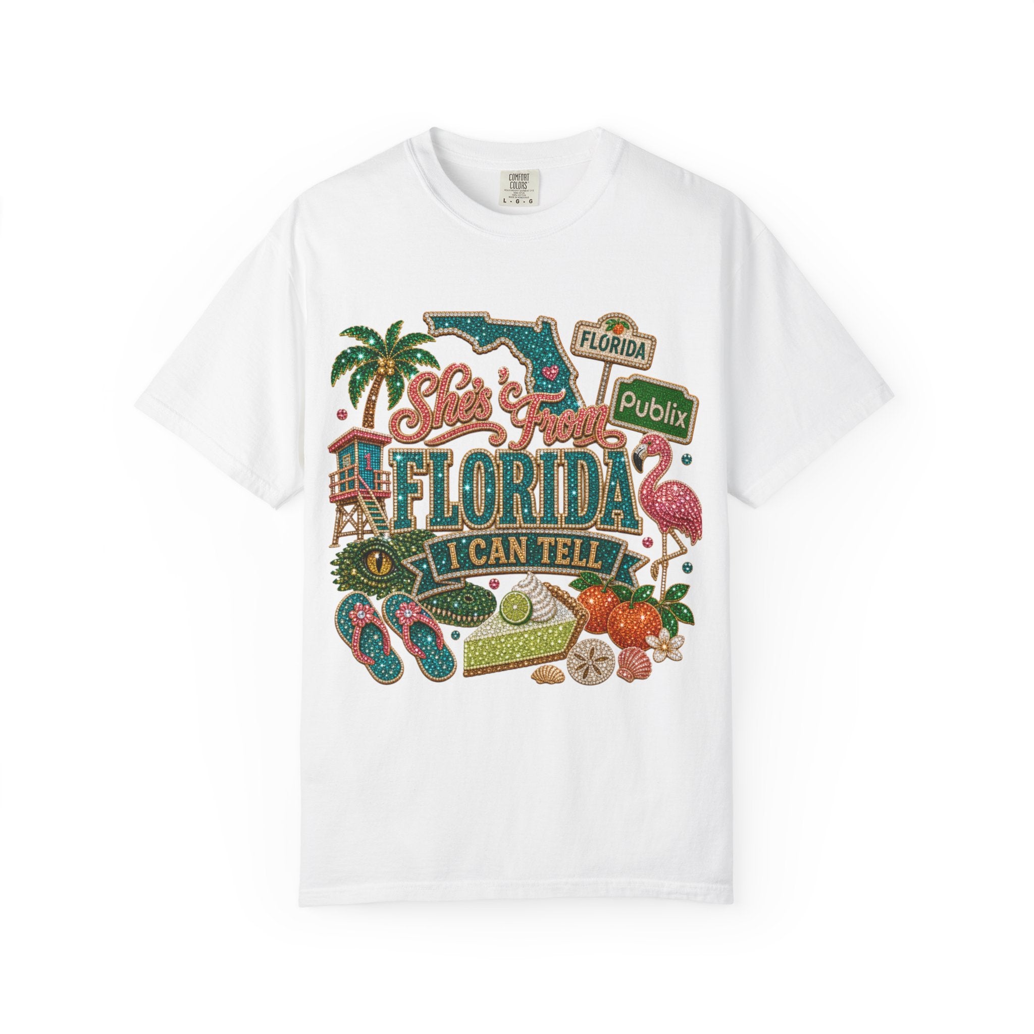 Florida Icons T Shirt  I Can Tell Vintage Sunshine Tee